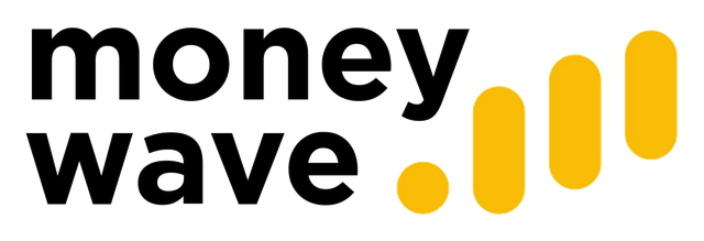 Money Wave – client of Conzlab