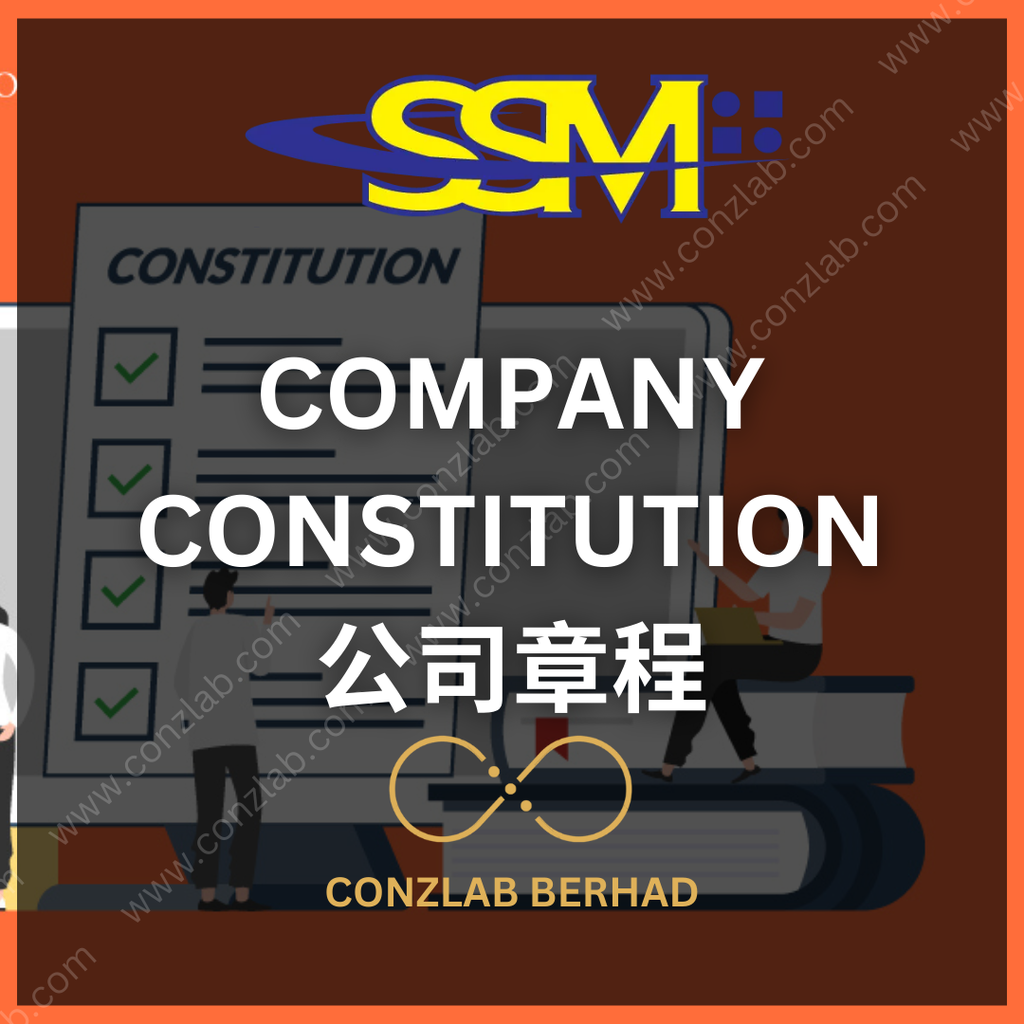 Company Constitution Service