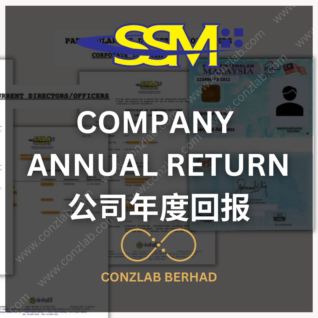 Annual Return