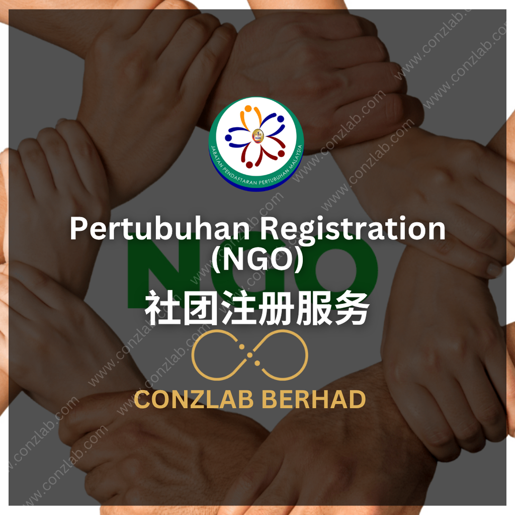 社团注册服务 (NGO)