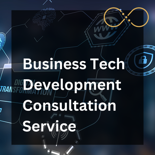 Business Tech Consultation and Development Service