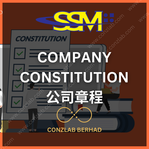 [company constitution service] 公司章程服务