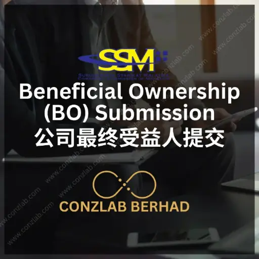 公司最终受益人 (BO) 信息提交